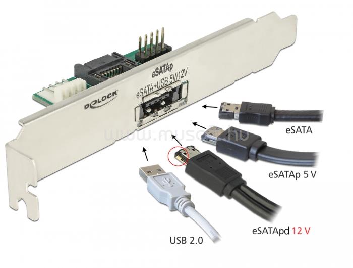 DELOCK Hátlapi lemez 1 x eSATApd 5 V / 12 V csatlakozóval