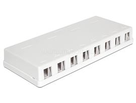 DELOCK Keystone 8 portos falra szerelhető doboz DL86209 small