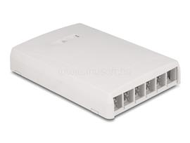 DELOCK Keystone felületre szerelt doboz felületre szerelt, 6 portos fehér DL67054 small