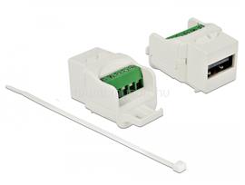 DELOCK Keystone modul USB 2.0 A anya sorkapocs modul, fehér DL86376 small