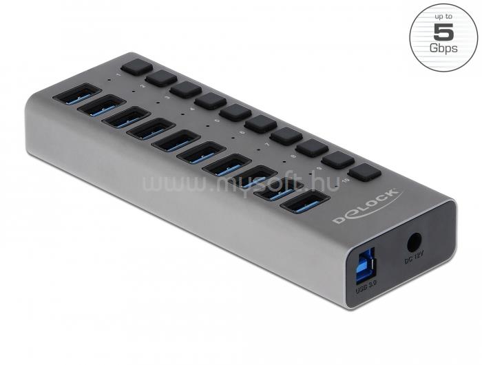 DELOCK Külső SuperSpeed USB hub 10 bemenettel és kapcsolóval