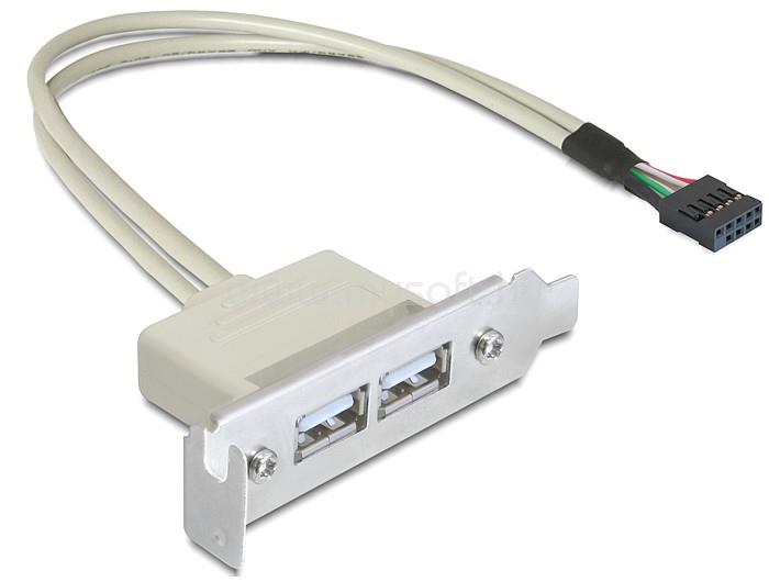 DELOCK Slot konzol USB 2.0 low profile 2 port