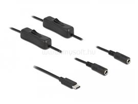 DELOCK USB Type-C  apa   2 db. DC 5,5 x 2,1 mm anya csatlakozójú, 1 méter hosszú kábel DL86800 small