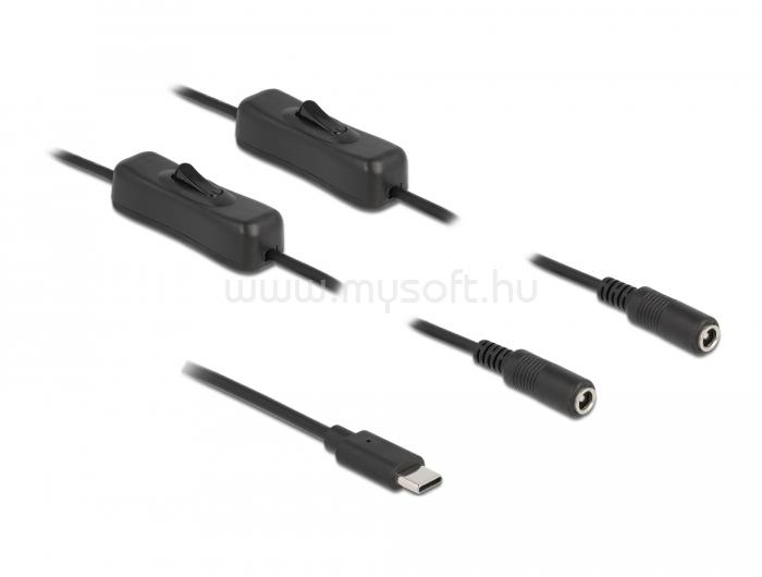 DELOCK USB Type-C  apa   2 db. DC 5,5 x 2,1 mm anya csatlakozójú, 1 méter hosszú kábel