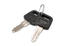 DIGITUS KEY FOR WALLMOUNTED  SOHO 1019 FOR  DN-45004+DN-45007 2 PCS NS DIGITUS_DN-KEY-WM small