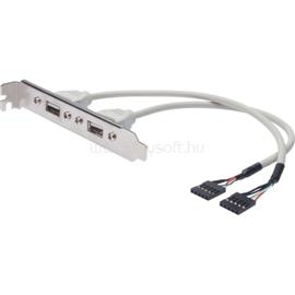 DIGITUS USB SLOT BRACKET CABLE 2X TYPE A-2X5PIN IDC DIGITUS_AK-300301-002-E small