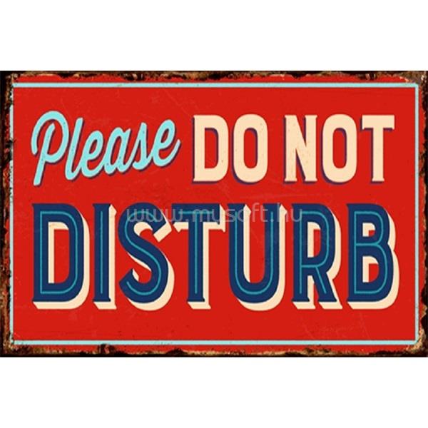 EGYEB BELFOLDI PF Please do not disturb 20x30 cm-es retro dekor fémtábla
