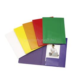 EGYÉB Gumis mappa A4, 600g. FC karton Glossy zöld EGYEB_400964 small