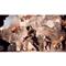 ELECTRONIC ARTS Battlefield 6 Xbox Series X játékszoftver ELECTRONIC_ARTS_5030941125406 small