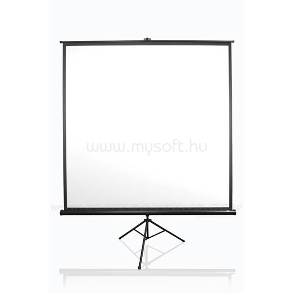 ELITESCREEN EliteScreens 136" (1:1) mobil háromlábú vászon T136UWS1 (244 x 244 cm, Fekete)