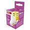 EMOS ZQ8E22 classic MR16 4W 450 lm GU10 LED izzó EMOS_ZQ8E22 small