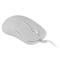 ENDGAME GEAR XM2 8k Gamer egér White Frost (EGG-XM2-8K-WF) EGG-XM2-8K-WF small