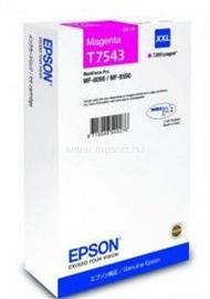 EPSON T7543 Patron Mag 7K /o/ C13T75434N small
