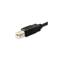 EQUIP Átalakító Kábel - 12888207 (USB-C -> USB-B 2.0 kábel, apa/apa, 1m) EQUIP_12888207 small