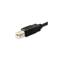 EQUIP Átalakító Kábel - 12888207 (USB-C -> USB-B 2.0 kábel, apa/apa, 1m) EQUIP_12888207 small