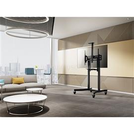 EQUIP TV állvány - 650633 (55