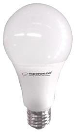 ESPERANZA Led izzó A60 E27 9W ESPERANZA_ELL158 small