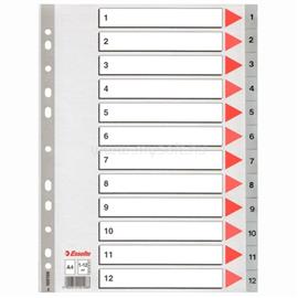 ESSELTE A4 1-12 műanyag regiszter ESSELTE_100106 small