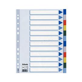 ESSELTE Regiszter műanyag A4, 12 részes Esselte ESSELTE_35871 small