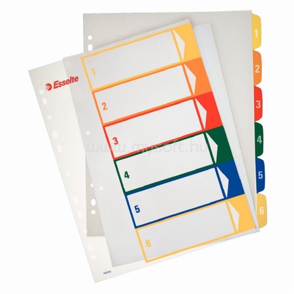 ESSELTE Standard A4 1-6 nyomtatható regiszter