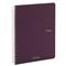 FABRIANO Ecoqua A5 70lapos lila vonalas spirálfüzet FABRIANO_19148212 small