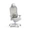 FRACTAL DESIGN Refine gamer szék (Mesh Light)  [BEMUTATÓ DARAB] FD-CH-RE1M-02_B01 small