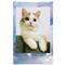 FUJIFILM INSTAX MINI GLOSSY (10/PK) Pastel Galaxy 16974021 small