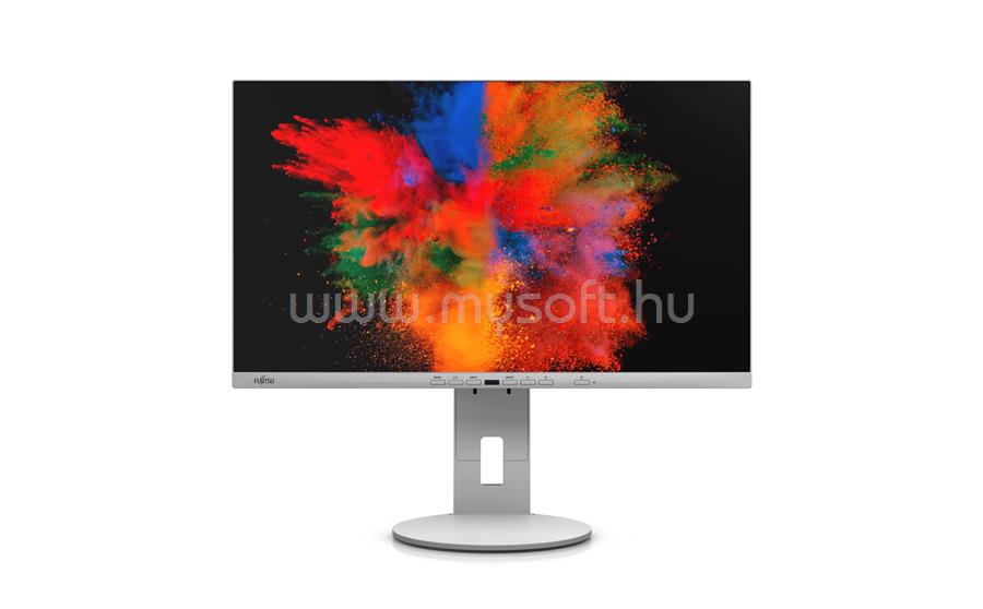 FUJITSU P24-10 TE Monitor