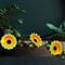 GARDEN OF EDEN SZOLÁR FÉNYFÜZÉR VIRÁG, 2,4 M,  20 MELEGFEHÉR LED GARDEN_OF_EDEN_11762B small