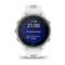 GARMIN Forerunner 170 (ED) okosóra (fehér-felhőkék) 010-03920-01 small
