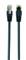 GEMBIRD CAT5e F-UTP Patch Cable 2m Black PP22-2M/BK small