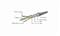 GEMBIRD CAT6 S-FTP Patch Cable 3m White PPB6-3M small