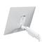 GEMBIRD Desk mounted adjustable double monitor arm 17