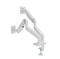 GEMBIRD Desk mounted adjustable double monitor arm 17