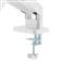 GEMBIRD Desk mounted adjustable double monitor arm 17