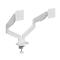 GEMBIRD Desk mounted adjustable double monitor arm 17