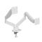 GEMBIRD Desk mounted adjustable double monitor arm 17