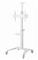 GEMBIRD TVS-70T-02-W Aluminum TV floor stand with caster wheels 37