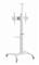 GEMBIRD TVS-70T-02-W Aluminum TV floor stand with caster wheels 37