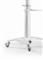 GEMBIRD TVS-70T-02-W Aluminum TV floor stand with caster wheels 37