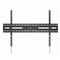 GEMBIRD WM-100T-01 TV wall mount 43