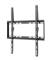 GEMBIRD WM-55F-04 Fixed TV Wall Mount 32