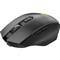 GENIUS GW-X3 optikai vezeték nélküli gaming egér fekete GENIUS_6920919256708 small