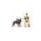 GOPRO Fetch (Dog harness) ADOGM-001 small