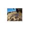 GOPRO Fetch (Dog harness) ADOGM-001 small