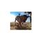 GOPRO Fetch (Dog harness) ADOGM-001 small