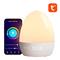 GOSUND NITEBIRD GOSUND LB2S Tuya WiFi RGBW 16M intelligens éjszakai lámpa, GOSUND_NITEBIRD_LB2S small