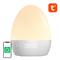 GOSUND NITEBIRD GOSUND LB2S Tuya WiFi RGBW 16M intelligens éjszakai lámpa, GOSUND_NITEBIRD_LB2S small