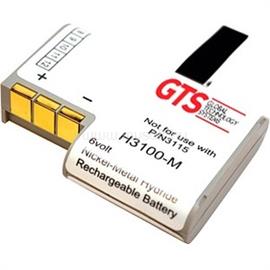 GTS PDT3100 NIMH BATT 750 6V KT-12596-04R/21-36897-02 H3100-M small