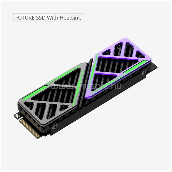 HIKSEMI SSD 2TB M.2 2280 NVMe PCIe 4.0 FutureX